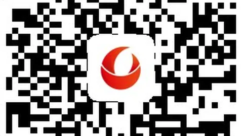 法里尼亚斯新葡京娱乐场官网：巴萨力赞全面天赋，潜力无限解析